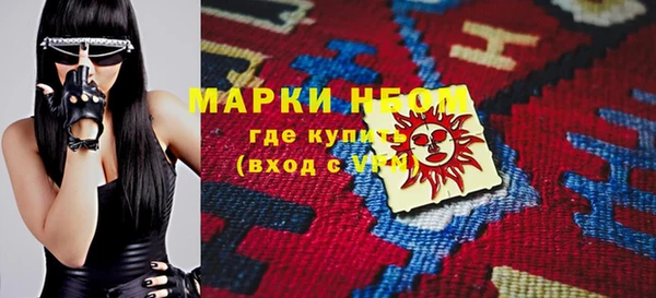 шишки Белокуриха