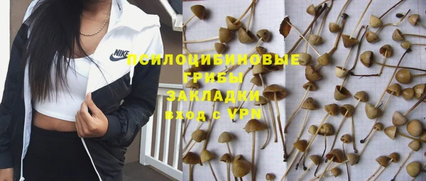 бошки Баксан