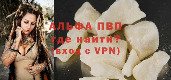 шишки Белокуриха