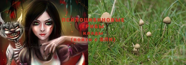 шишки Белокуриха