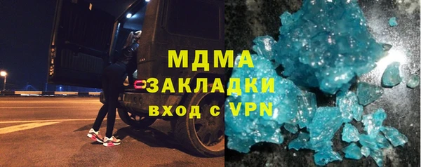 шишки Белокуриха