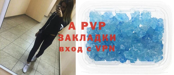 шишки Белокуриха