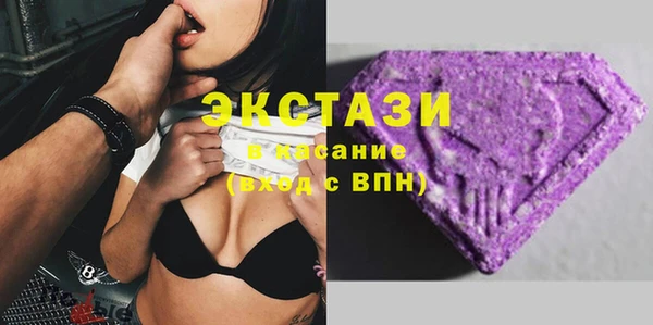 шишки Белокуриха